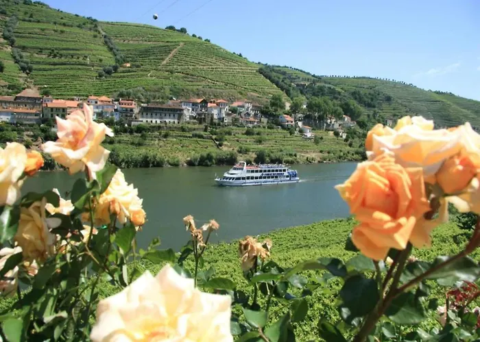 Appartement Feel Bacchus Townhouse Oporto