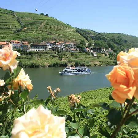 Appartement Feel Bacchus Townhouse Oporto