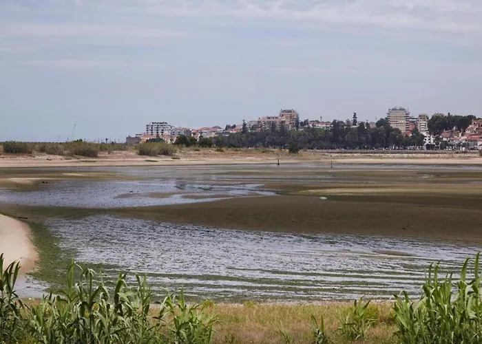 Feel Bacchus Townhouse アパート ポルト