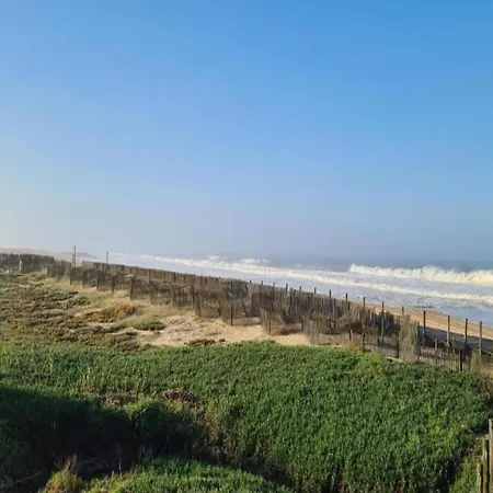 Feel Bacchus Townhouse