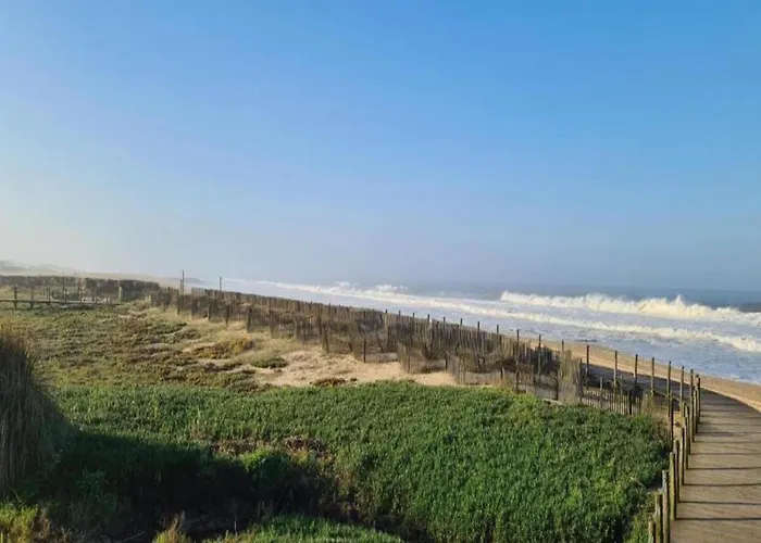 Feel Bacchus Townhouse